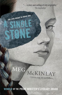 A Single Stone : Winner 2016 Prime Ministers Literary Awards for Young Adult Fiction - Meg McKinlay