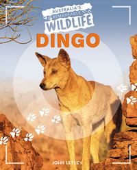 Dingo : Australia's Remarkable Wildlife - John Lesley