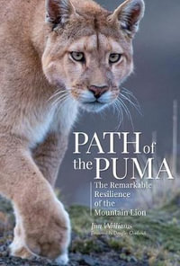 Path of the Puma : The Remarkable Resilience of the Mountain Lion - Jim Williams