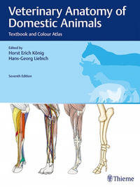 Veterinary Anatomy of Domestic Animals : Textbook and Colour Atlas - Horst Erich Koenig