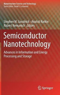 Semiconductor Nanotechnology : Advances in Information and Energy Processing and Storage - Anatoli Korkin