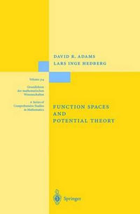 Function Spaces and Potential Theory : GRUNDLEHREN DER MATHEMATISCHEN WISSENSCHAFTEN - David R. Adams