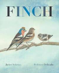 Finch - Javier Sobrino