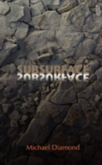 Subsurface - Michael Diamond