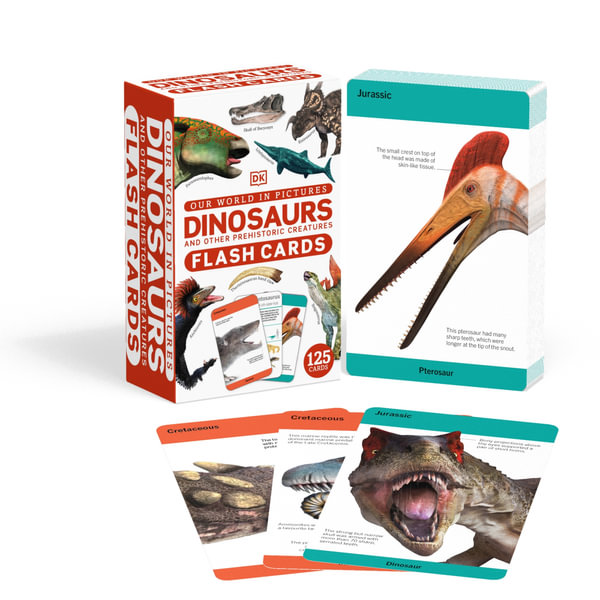 Our World in Pictures Dinosaurs and Other Prehistoric Creatures Flash Cards  by DK, 9780241620090