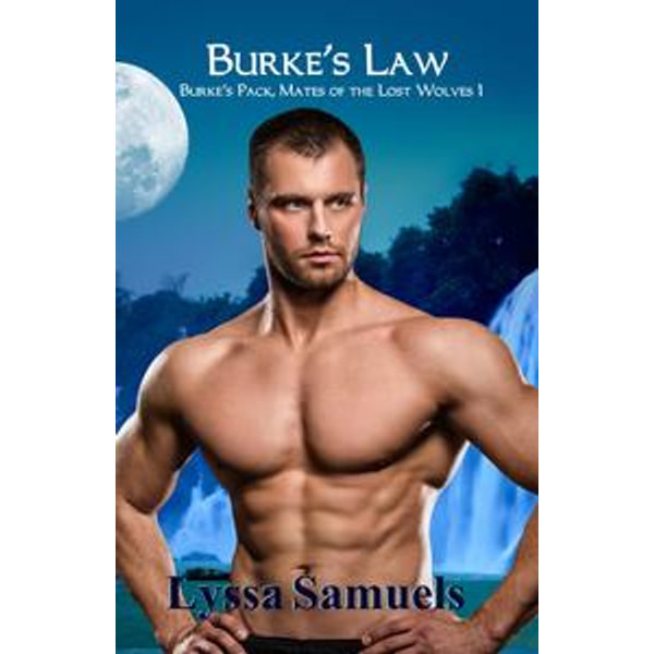 Burke's Law - Lyssa Samuels | Karta-nauczyciela.org
