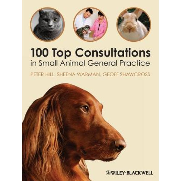 100 Top Consultations in Small Animal General Practice, 100 Top  Consultations by P Hill | 9781405169493 | Booktopia