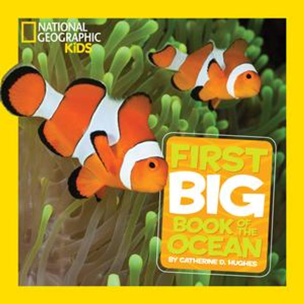 National Geographic Little Kids First Big Book of the Ocean - Catherine D. Hughes | Karta-nauczyciela.org
