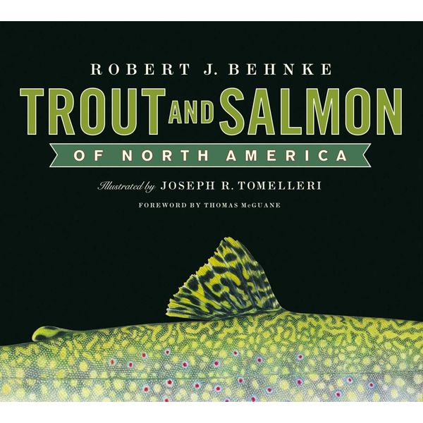 Trout and Salmon of North America - Robert Behnke, Joe Tomelleri (Illustrator), Thomas McGuane (Foreword by) | Karta-nauczyciela.org