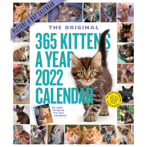 Most Adorable Kittens. 2022 365 Kittens-A-Year Calendar A Year of the Cutest 