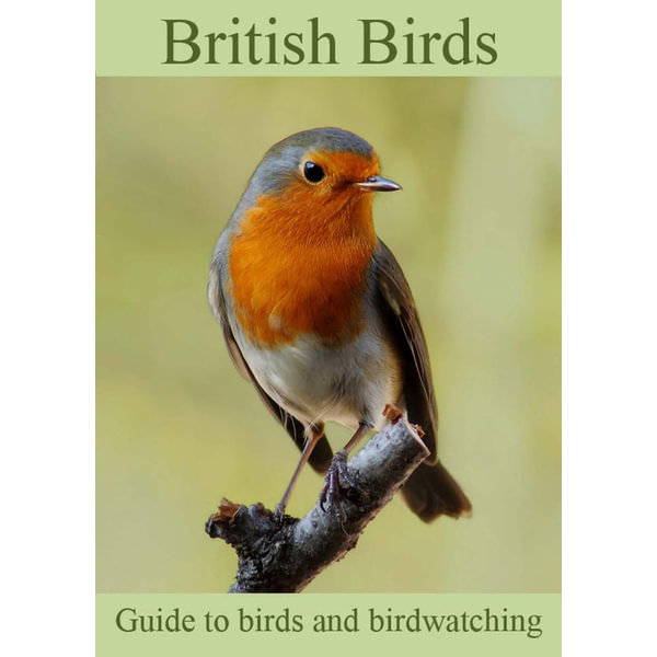 British Birds - Colin Salter | Karta-nauczyciela.org