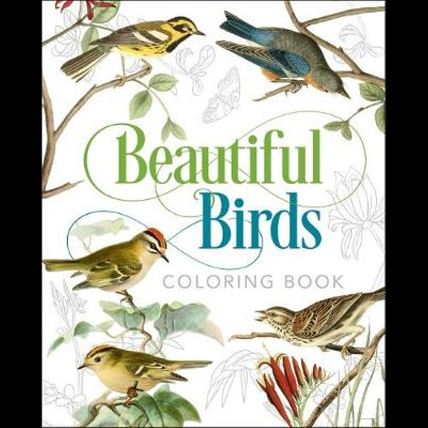 Download Beautiful Birds Coloring Book Adult Colouring Book By Peter Gray 9781839402685 Booktopia