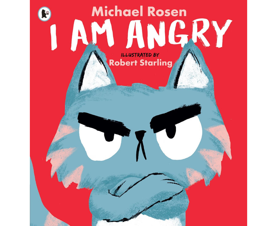 I Am Angry - 9781529504149 I Am Angry - 9781529504149 - 9781529504149