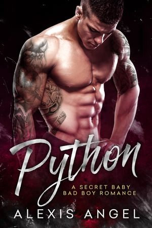 Python : A Secret Baby Bad Boy Romance - Alexis Angel