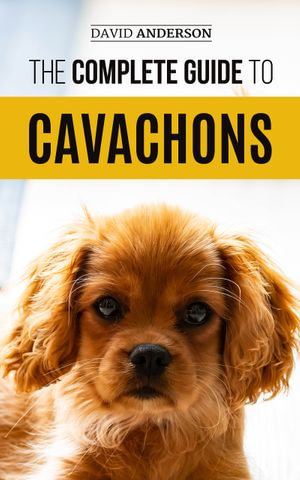 The Complete Guide to Cavachons : Choosing, Training, Teaching, Feeding, and Loving Your Cavachon Dog - David Anderson