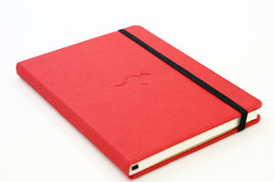 Dingbats* Wildlife Red Kangaroo Notebook A5+ Graph : Graph, Hardcover - Dingbats*