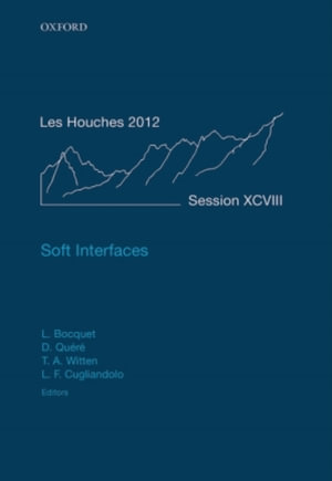 Soft Interfaces : Lecture Notes of the Les Houches Summer School: Volume 98, July 2012 - Lydéric Bocquet