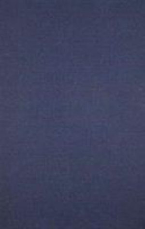 Fictional Realism in Twentieth-Century China : Mao Dun, Lao She, Shen Congwen - David Der-wei Wang