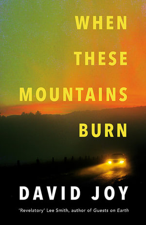 When These Mountains Burn - David Joy