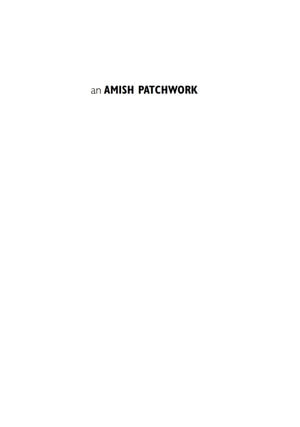 An Amish Patchwork : Indiana's Old Orders in the Modern World - Thomas J. Meyers