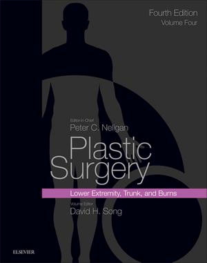 Plastic Surgery E-Book : Volume 4: Trunk and Lower Extremity - David H Song