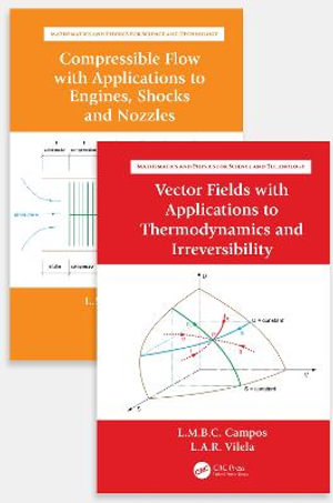 Partial Differentials with Applications to Thermodynamics and Compressible Flow : Mathematics and Physics for Science and Technology - Luis Antonio Raio Vilela