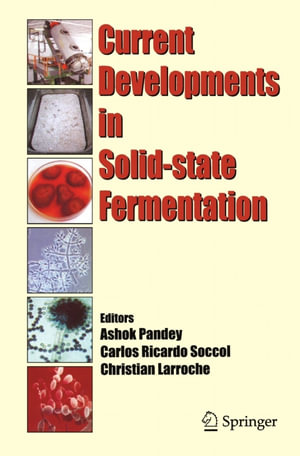 Current Developments in Solid-state Fermentation - Ashok Pandey