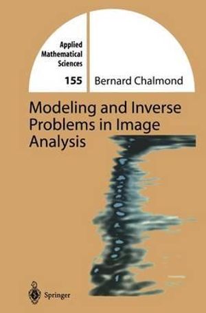 Modeling and Inverse Problems in Imaging Analysis : Applied Mathematical Sciences - Kari A. Foster