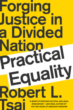Practical Equality : Forging Justice in a Divided Nation - Robert Tsai