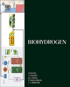 Biohydrogen : Biomass, Biofuels, Biochemicals - Ashok Pandey