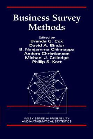 Business Survey Methods : Wiley Series in Probability and Statistics - Brenda G. Cox