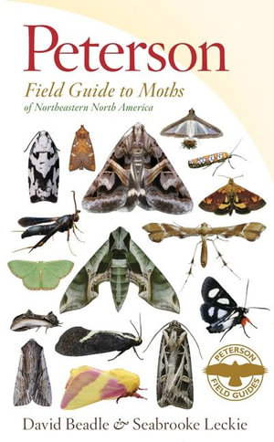 Peterson Field Guide To Moths Of Northeastern North America : Peterson Field Guide - David Beadle