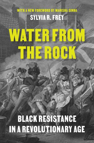 Water from the Rock : Black Resistance in a Revolutionary Age - Sylvia R. Frey