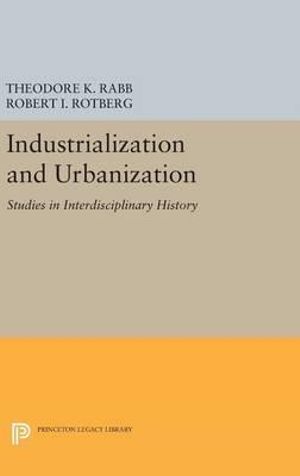 Industrialization and Urbanization : Studies in Interdisciplinary History - Robert I. Rotberg