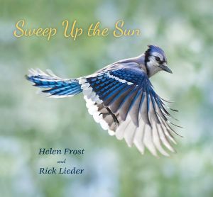 Sweep Up the Sun : Step Gently, Look Closely - Helen Frost
