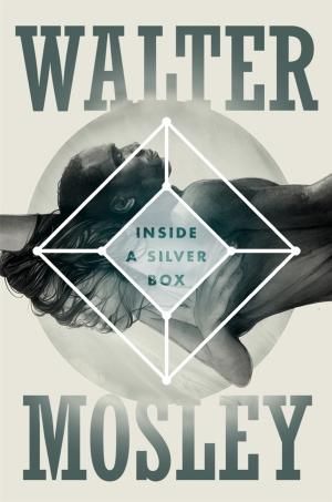 Inside a Silver Box - Walter Mosley