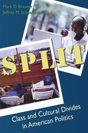 Split : Class and Cultural Divides in American Politics - Mark Brewer