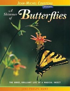 A Shimmer of Butterflies : The Brief, Brilliant Life of a Magical Insect - Joni Phelps Hunt