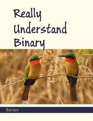 Really Understand Binary - Rex a Barzee