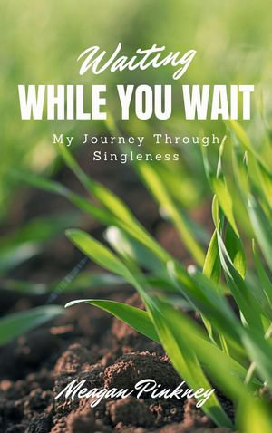 Waiting While You Wait : My Journey Through Singleness - Meagan Pinkney