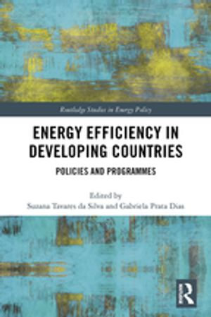 Energy Efficiency in Developing Countries : Policies and Programmes - Suzana Tavares da Silva