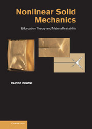Nonlinear Solid Mechanics : Bifurcation Theory and Material Instability - Davide Bigoni