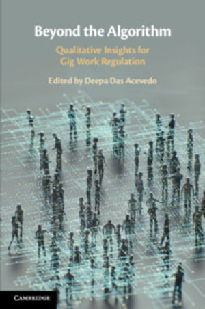 Beyond the Algorithm : Qualitative Insights for Gig Work Regulation - Deepa Das Acevedo