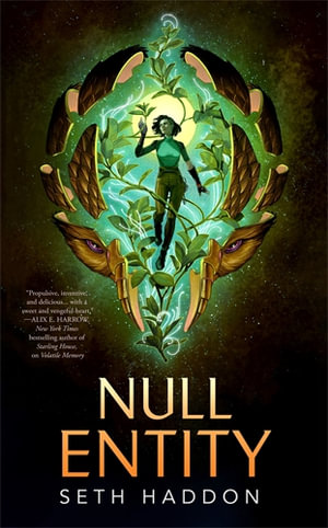 Null Entity - Seth Haddon