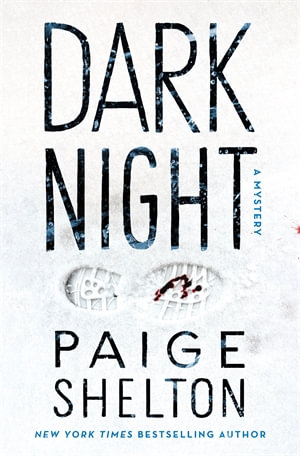 Dark Night : A Mystery - Paige Shelton