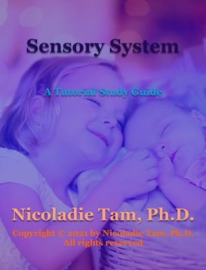 Sensory System: A Tutorial Study Guide : Science Textbook Series - Nicoladie Tam