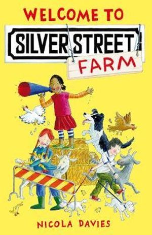 Welcome to Silver Street : Silver Street - Nicola Davies