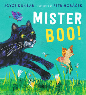 Mister Boo! - Joyce Dunbar