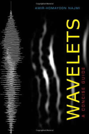 Wavelets : A Concise Guide - Amir-Homayoon Najmi