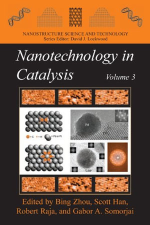 Nanostructure Science and Technology : Nanostructure Science and Technology - Bing Zhou